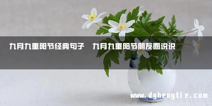 九月九重阳节经典句子 九月九重阳节朋友圈说说